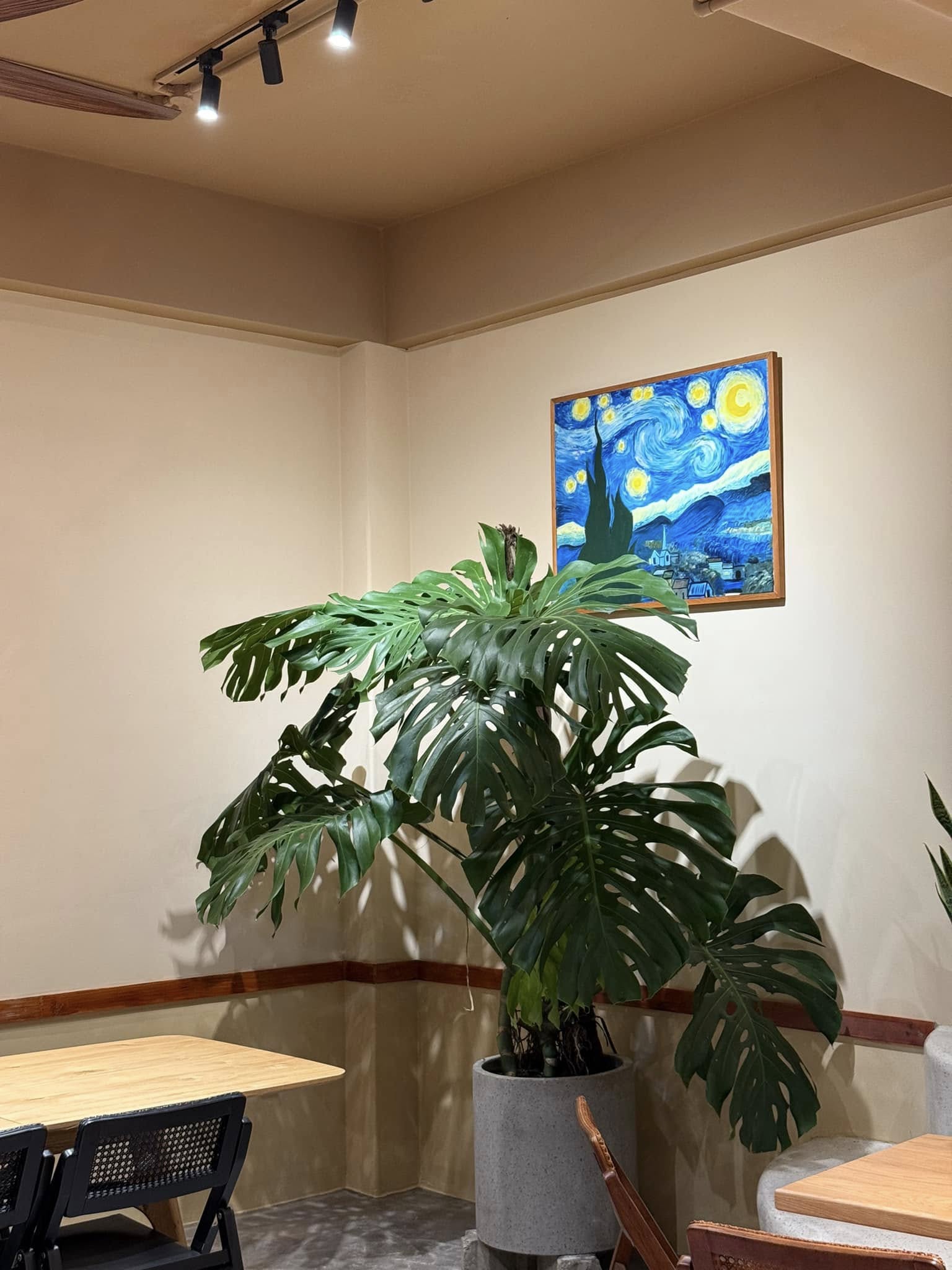 Kong's Tea Instagram